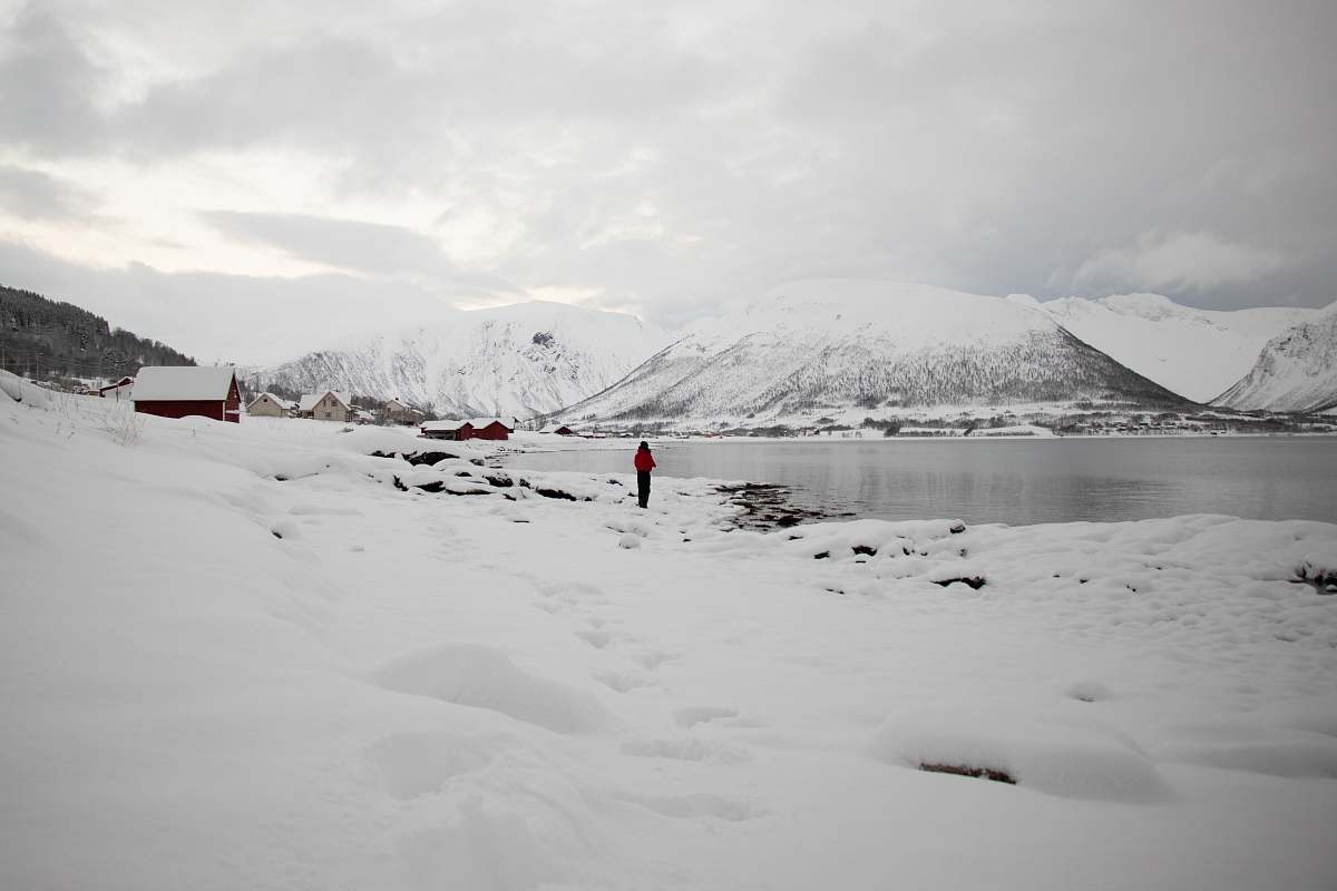 grey person standing beside lake near covered snow mountain during daytime mountain