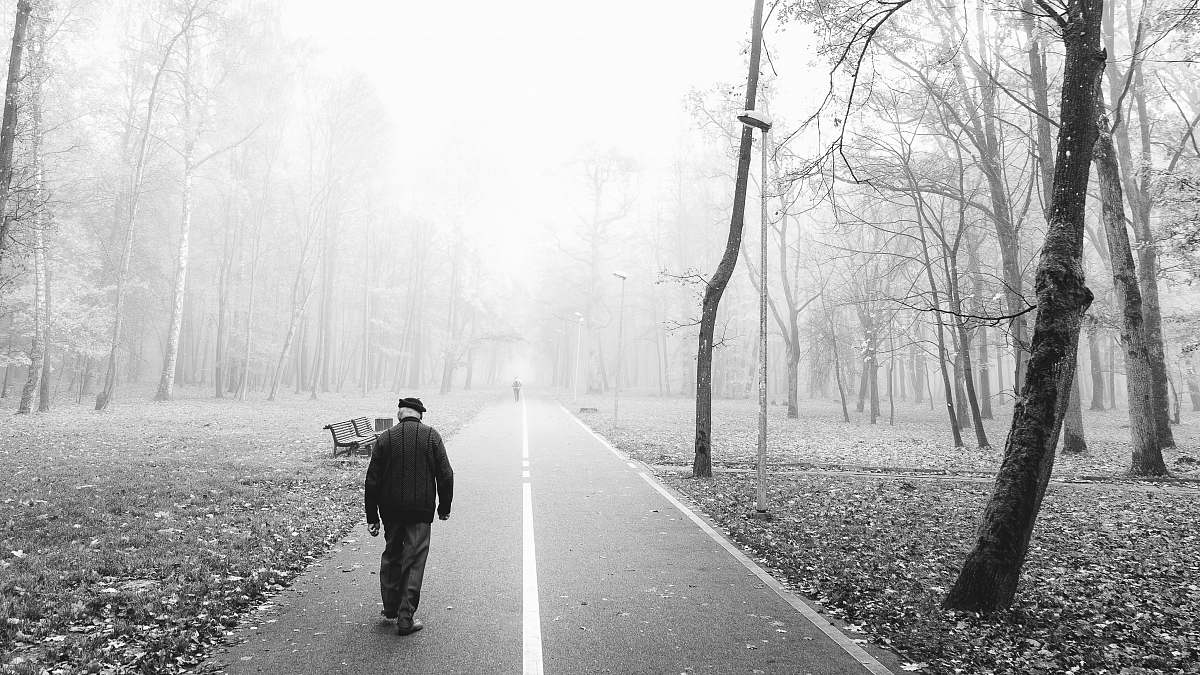 person person walking on pathway nature