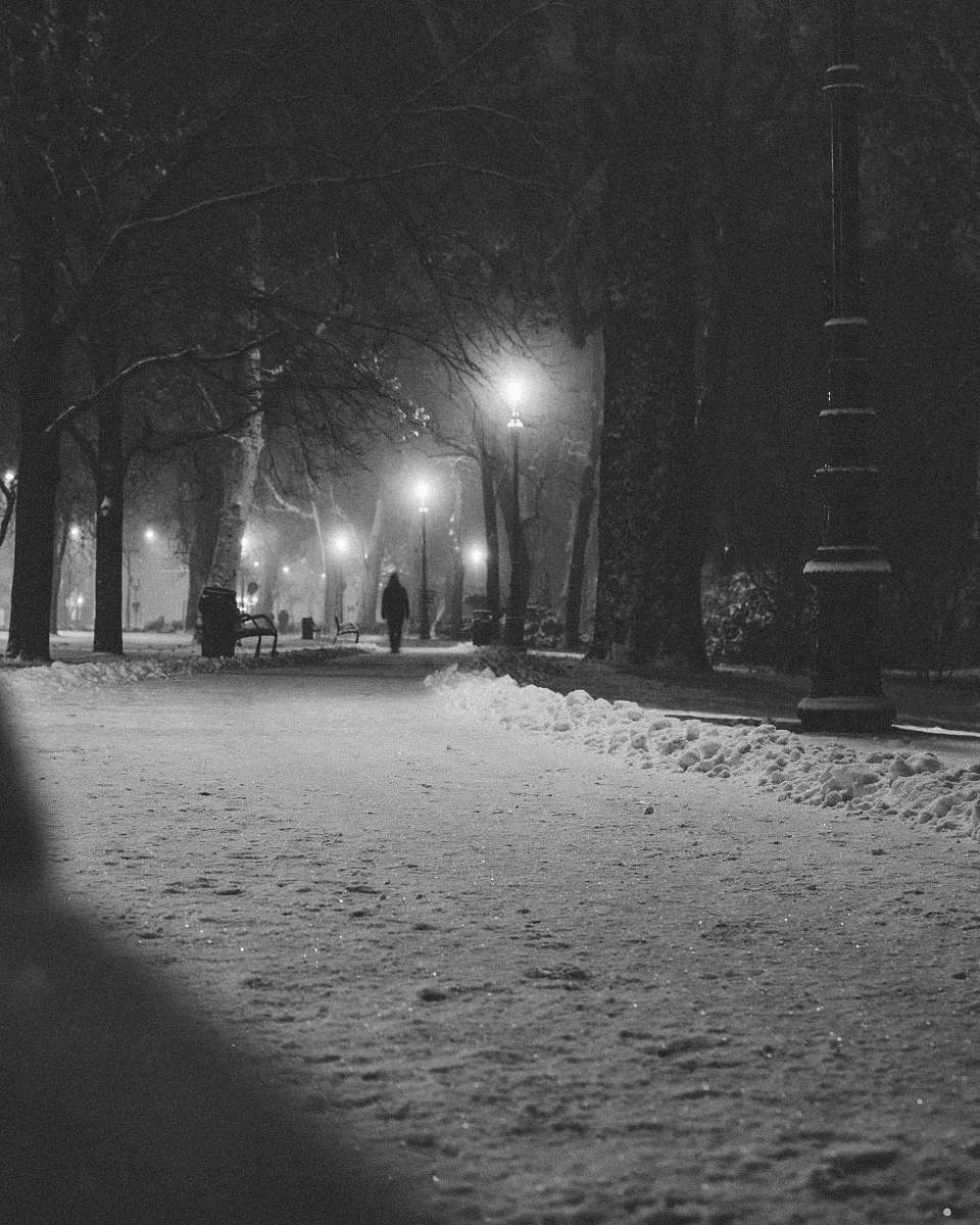 grey person walking on road beside trees during nighttime human