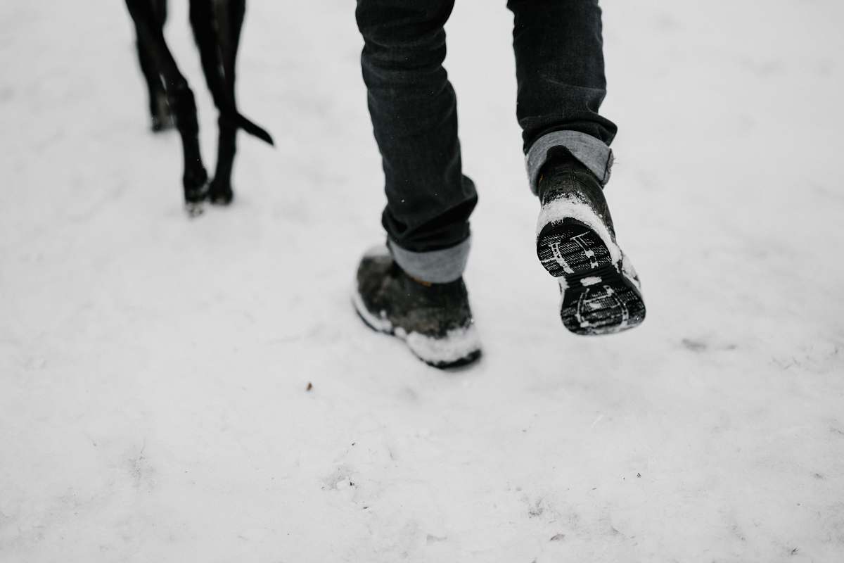 human person walking with black dog on snow person