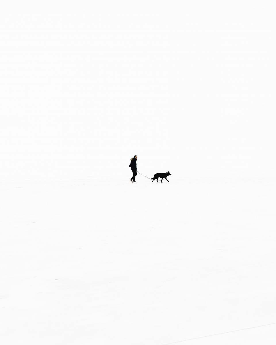 person person walking with dog against black background dog