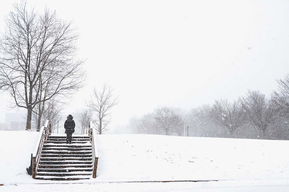 snow person wearing black coat standing on stairs near bare trees blizzard