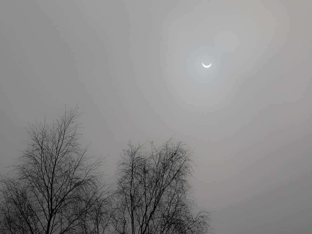 nature quarter moon grey