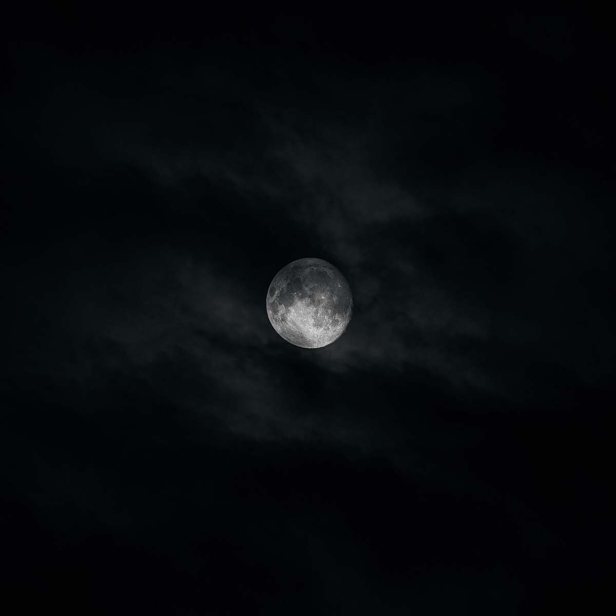 moon round white moon night