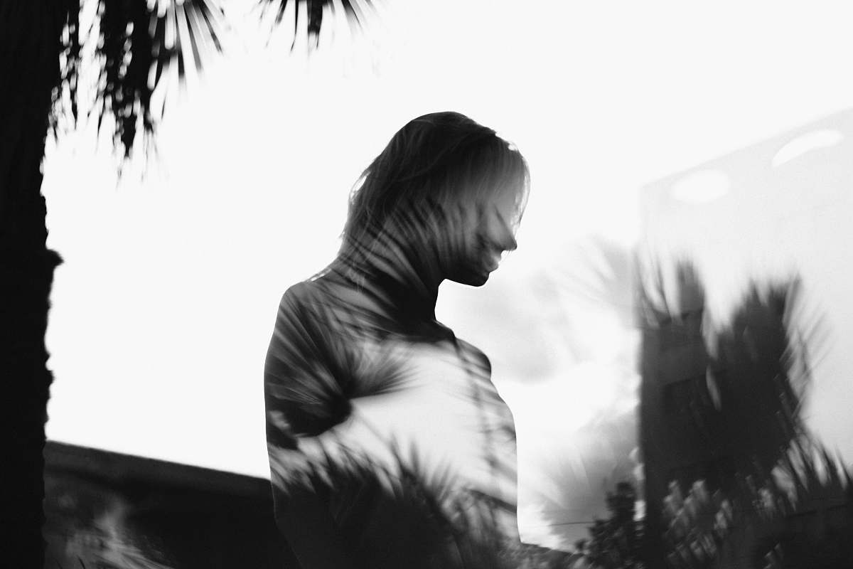 person silhouette man with layered palm tree photograph people