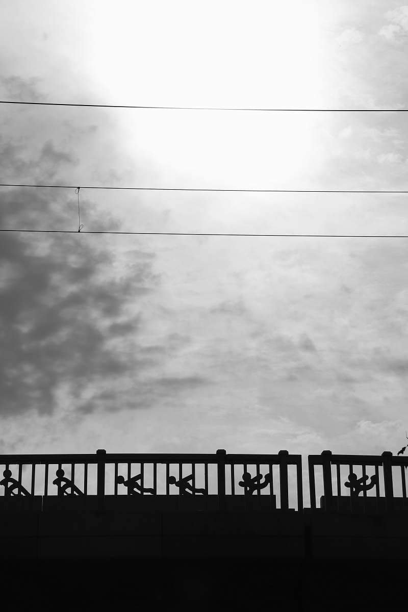 water silhouette of fence at daytime waterfront
