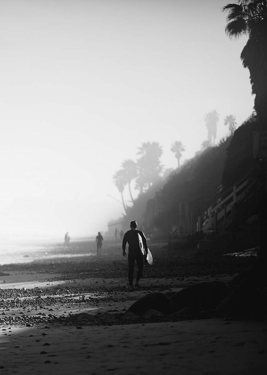 california silhouette of person holding surfboard on shoreline tree