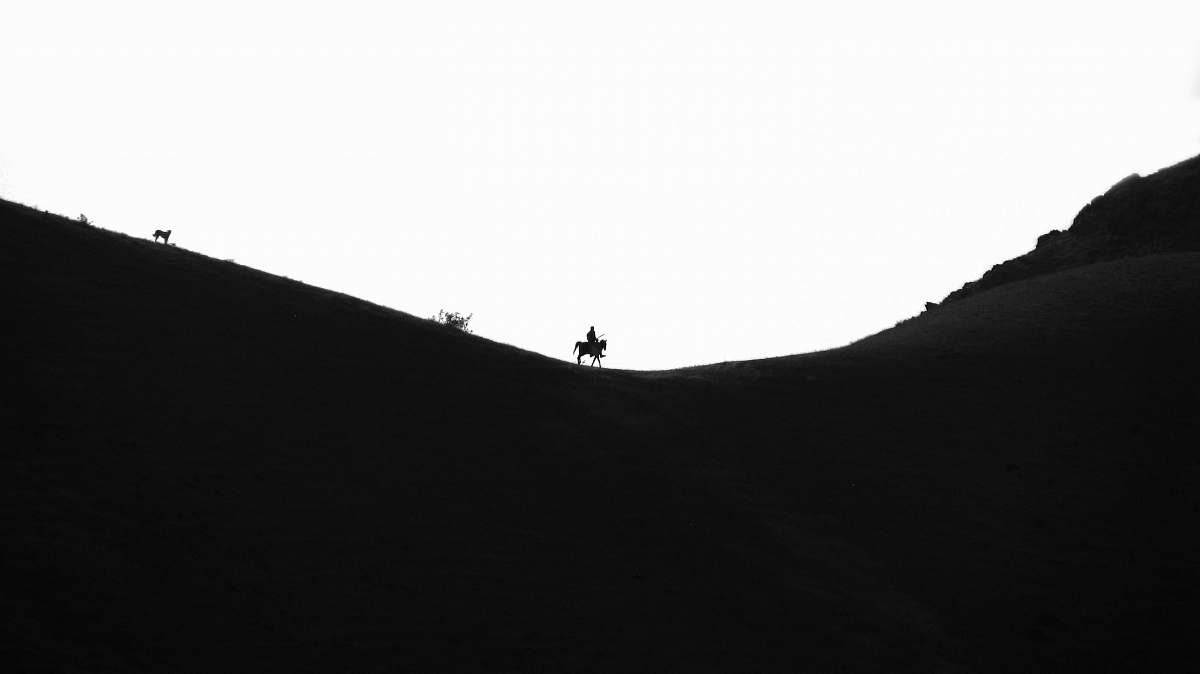 soil silhouette of person riding horse nature