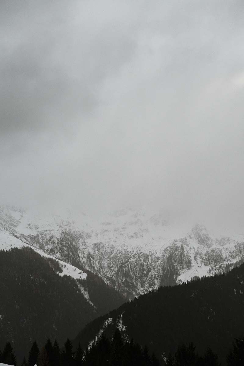 grey silhouette of trees near mountain mountain