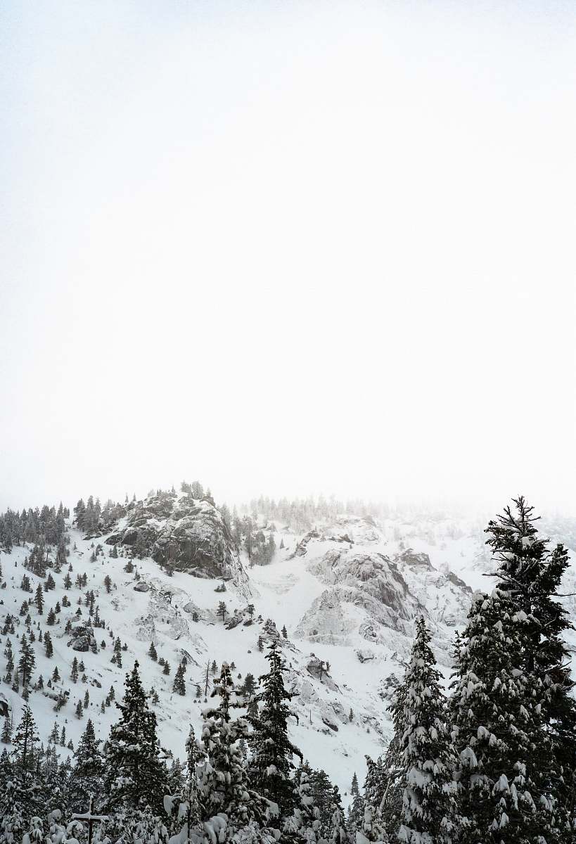 nature silhouette photo of pine trees near mountain alps mountain