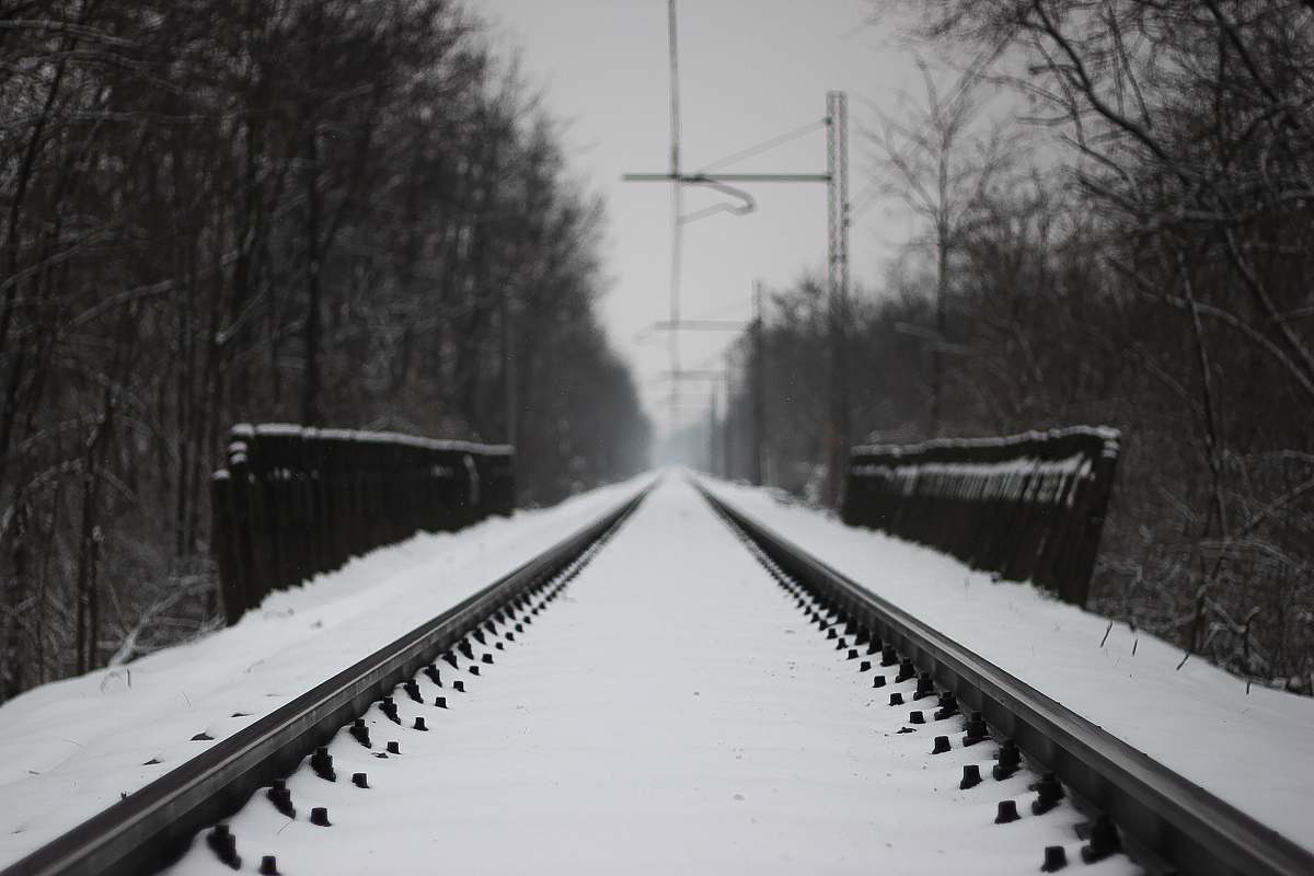 grey snow covered train rails between bare trees province of cremona
