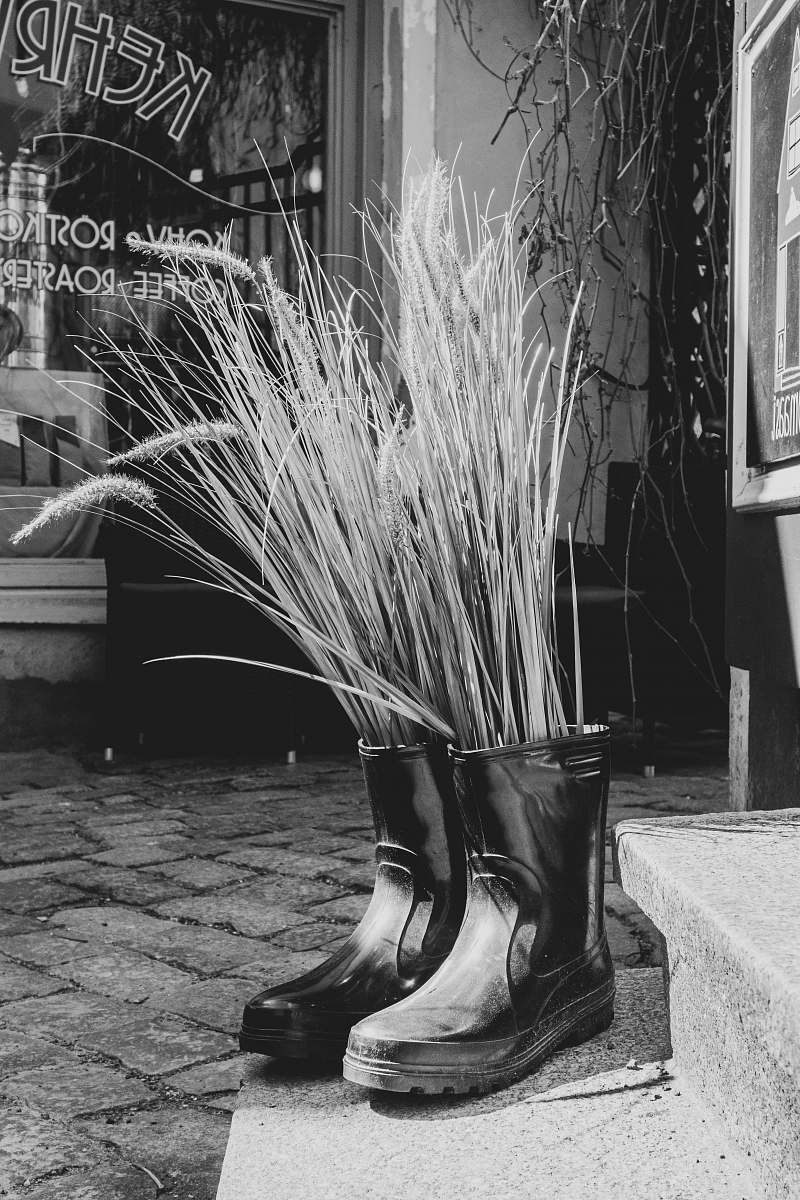 apparel twigs inside black rain boots on pavement near stairs clothing
