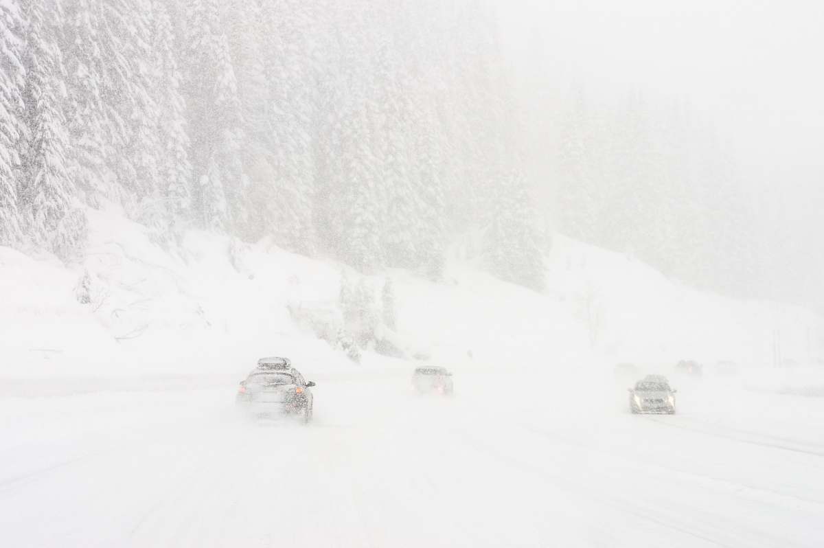nature vehicle on roadway near trees covered by snow car