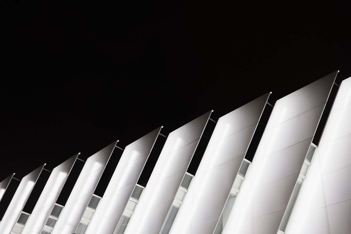 architecture white and black wooden panel building