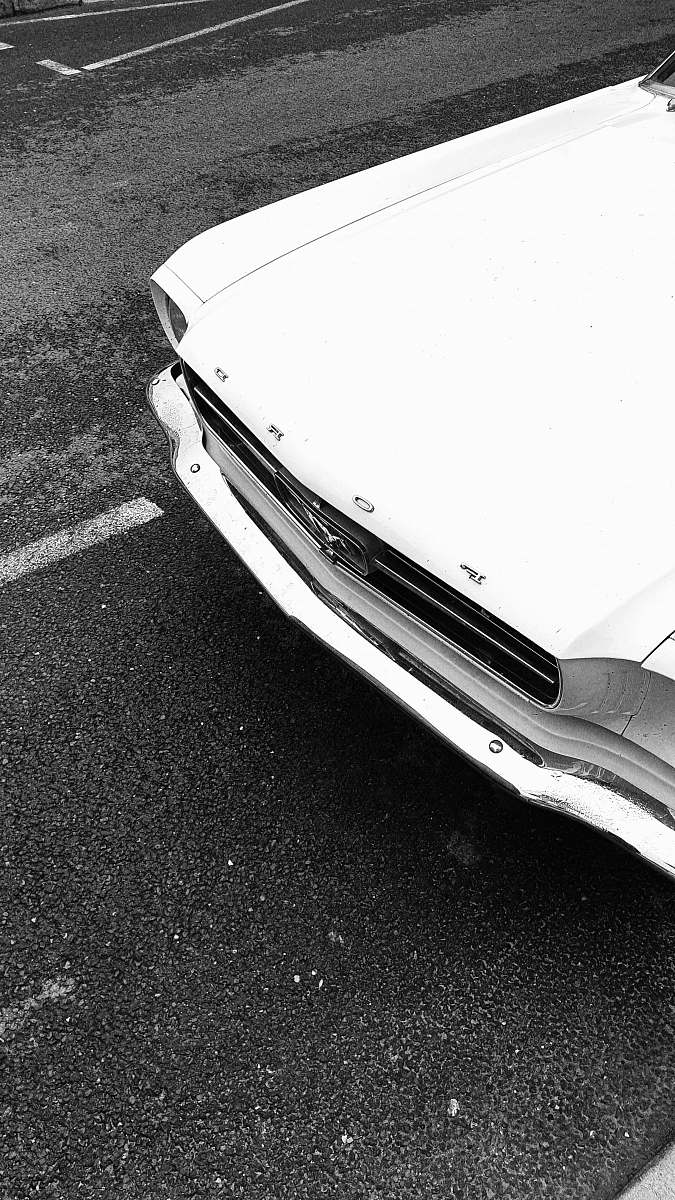 bumper white car transportation