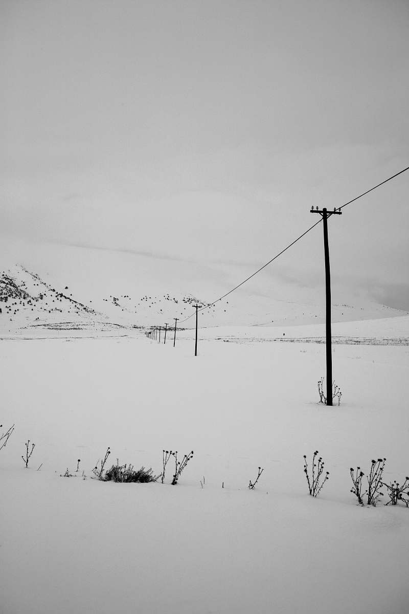 grey white snow field nature