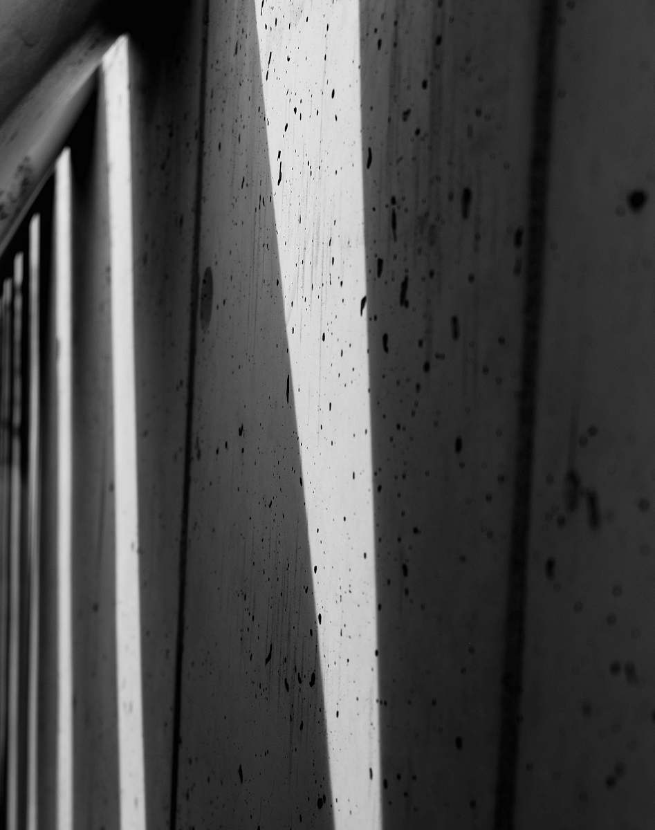 building white wooden fence in closeup photography grey
