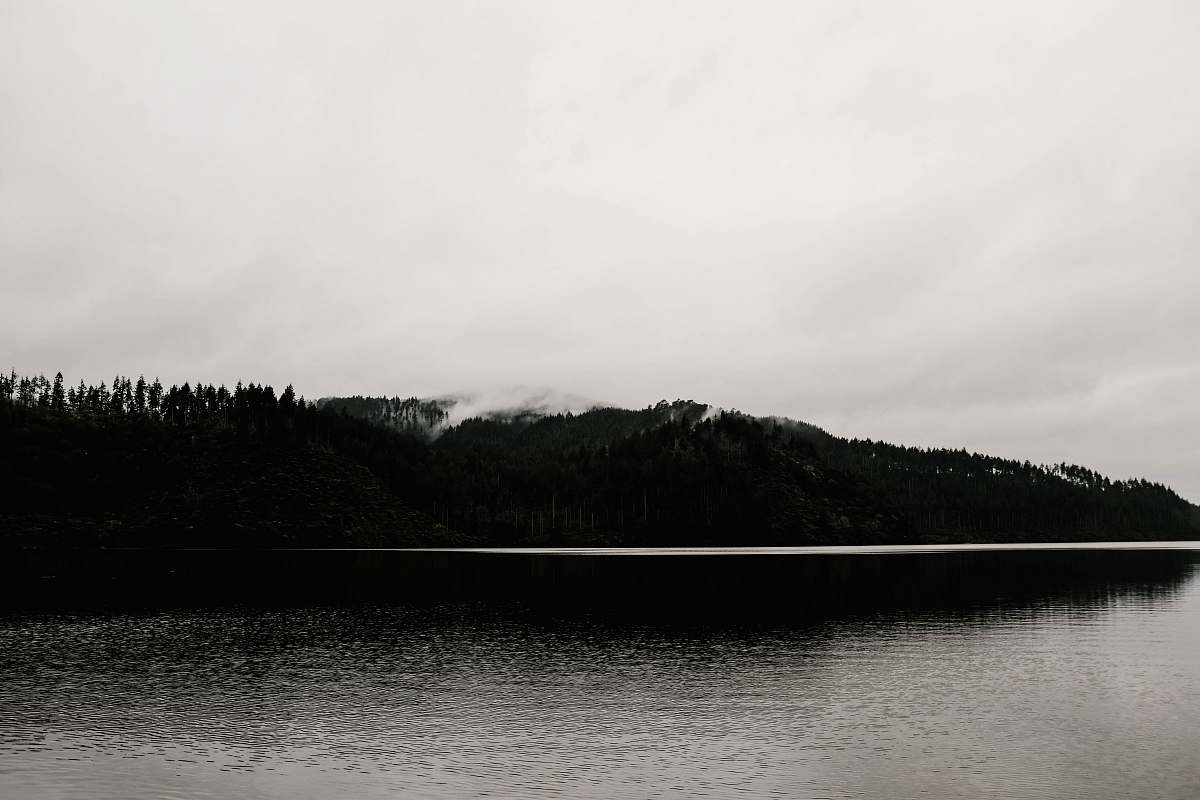 Water Body Of Water Near Trees Tree Image Free Photo