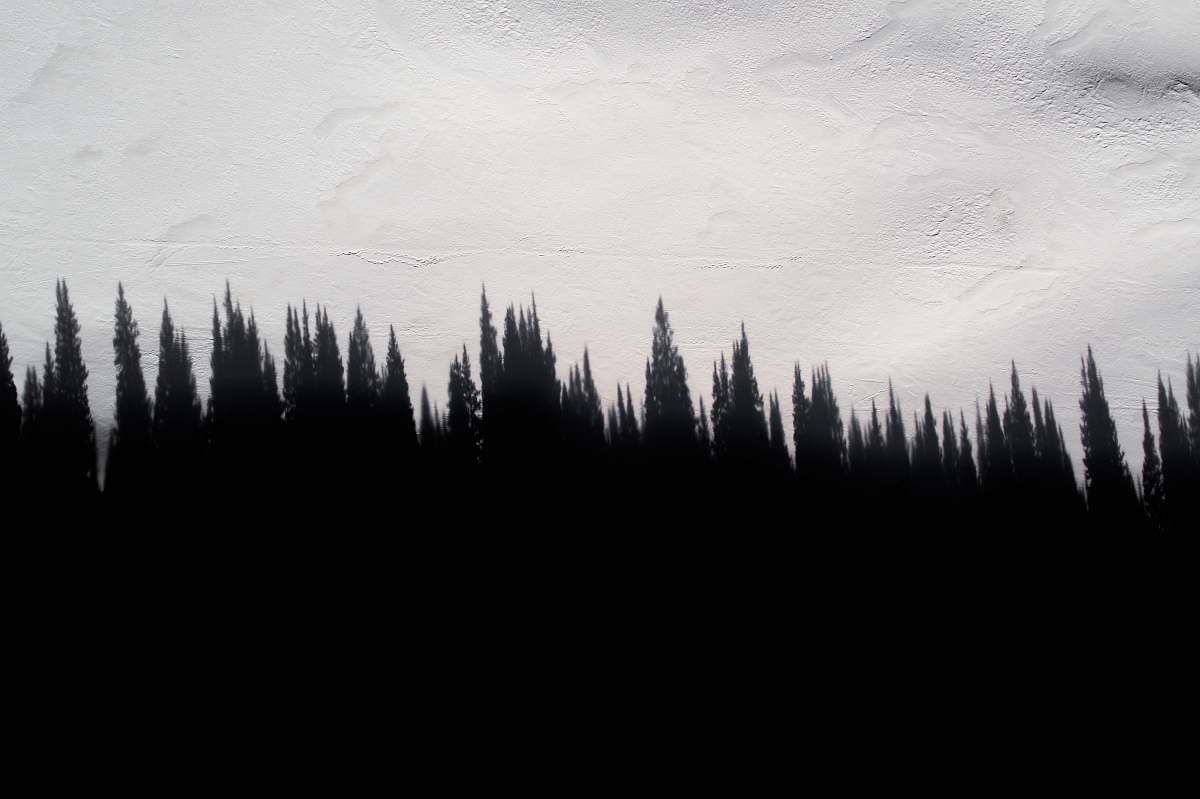 texture silhouette of trees snow