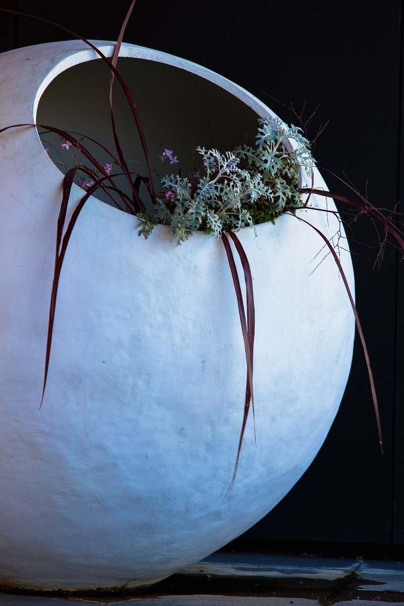 plant white vase and green leafed plan art