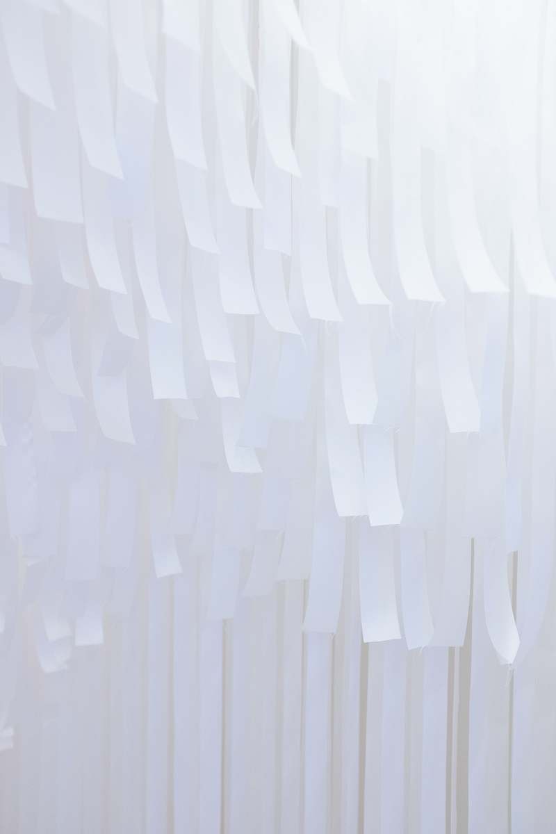 paper  white