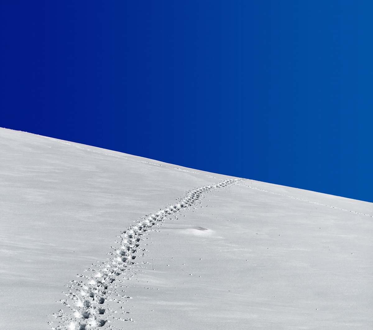 snow footprints in snow field under blue sky footprints