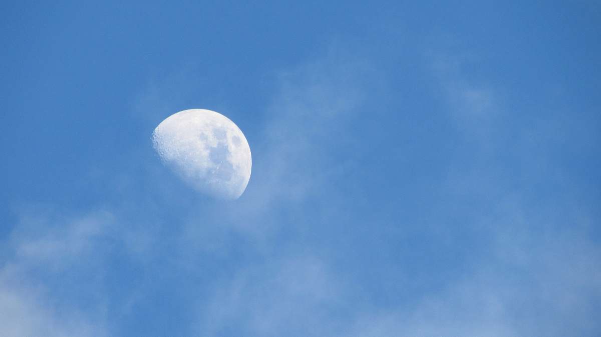 sky low angle photo of half-moon moon