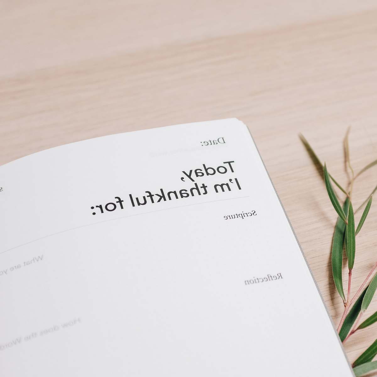 text  page
