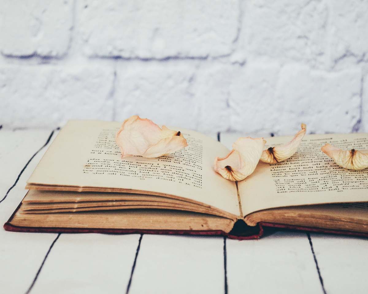 vintage flower petals on opened book diary