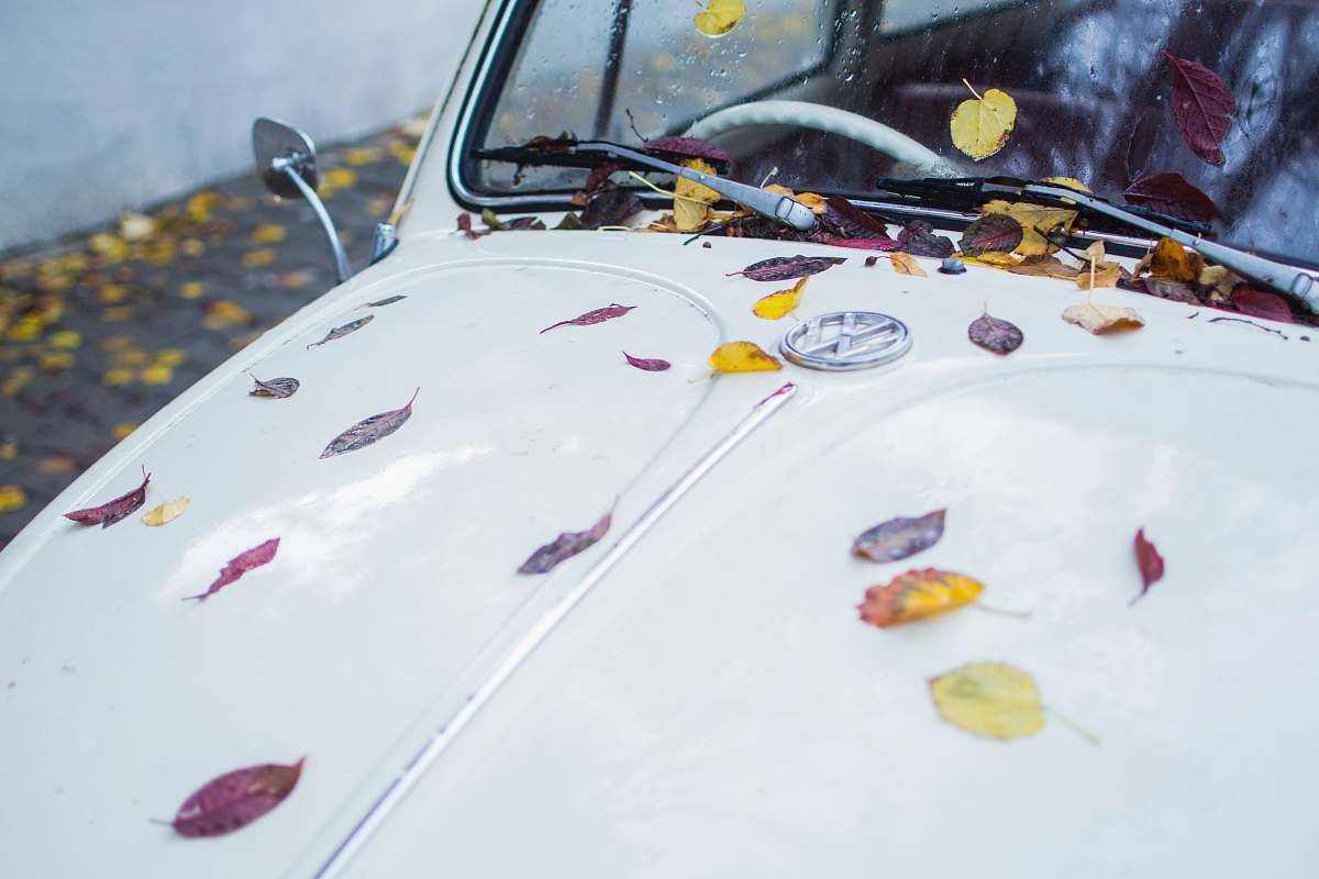 romania white car car