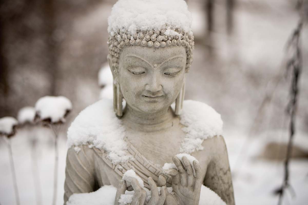bust Buddha statue statue