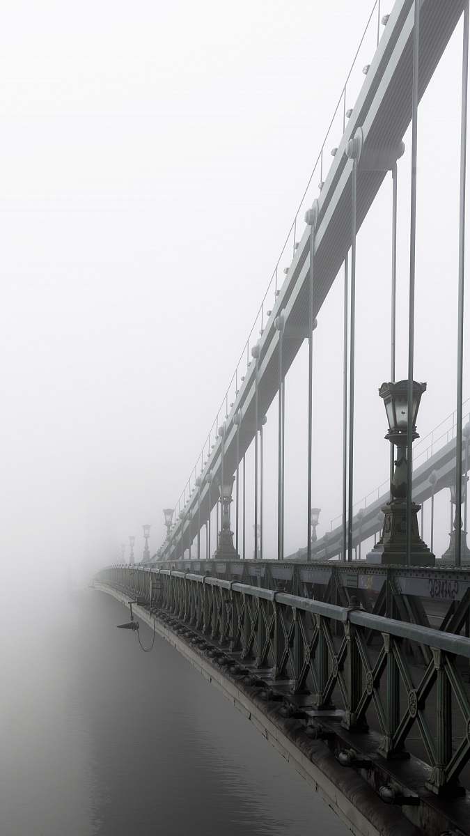 black-and-white closeup photo of bridge and mist bridge