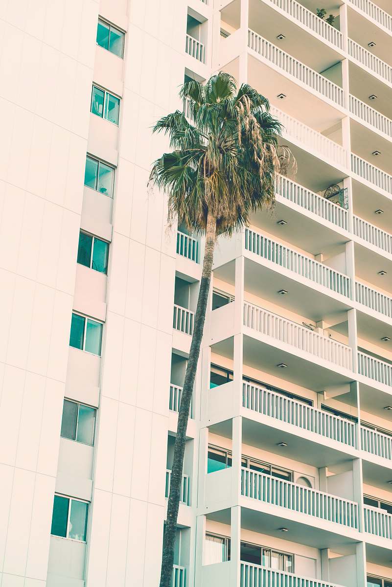 housing green palm tree beside white high-rise building during daytime palm tree