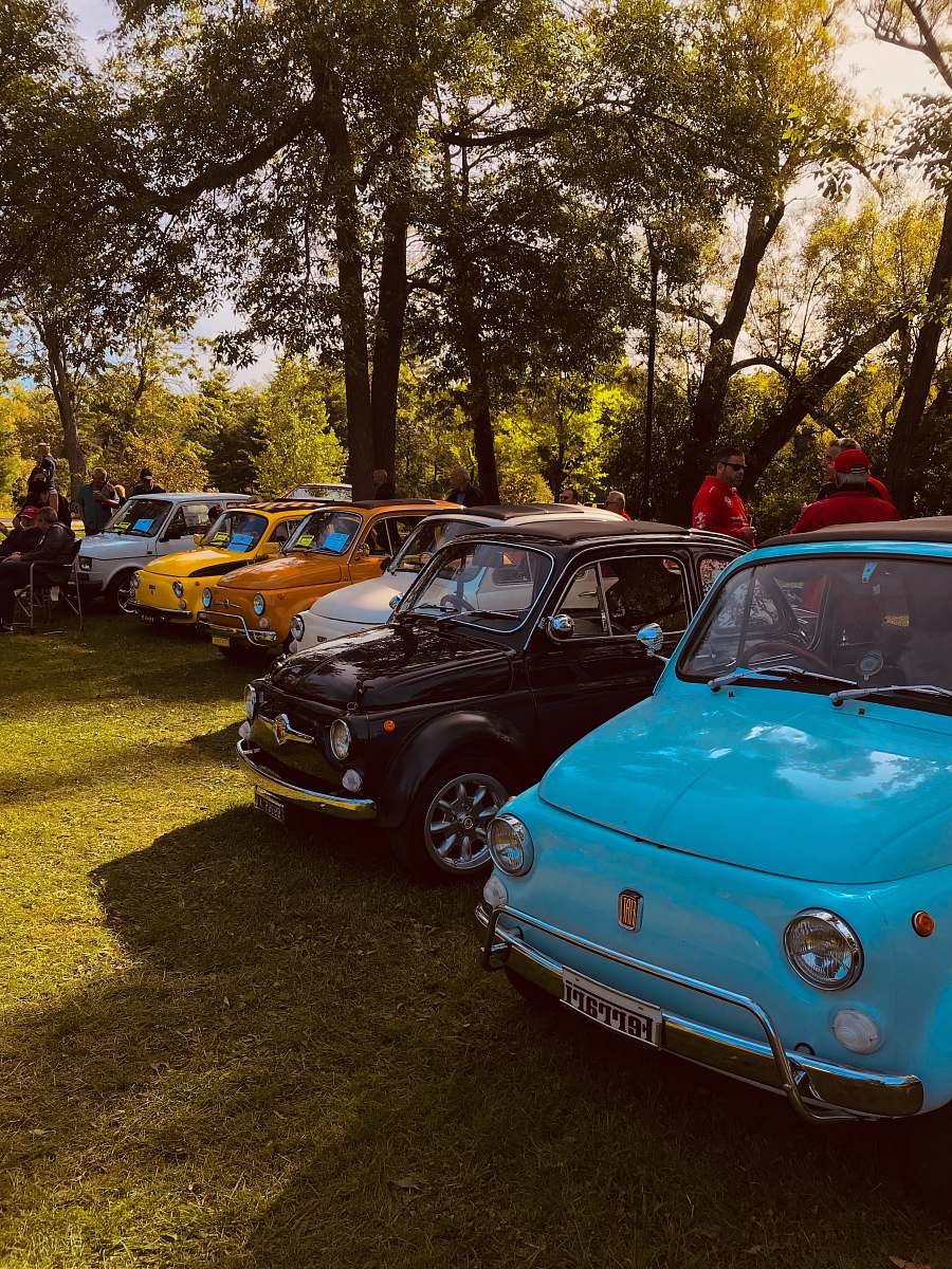automobile assorted-color vehicles parked near trees during daytime transportation