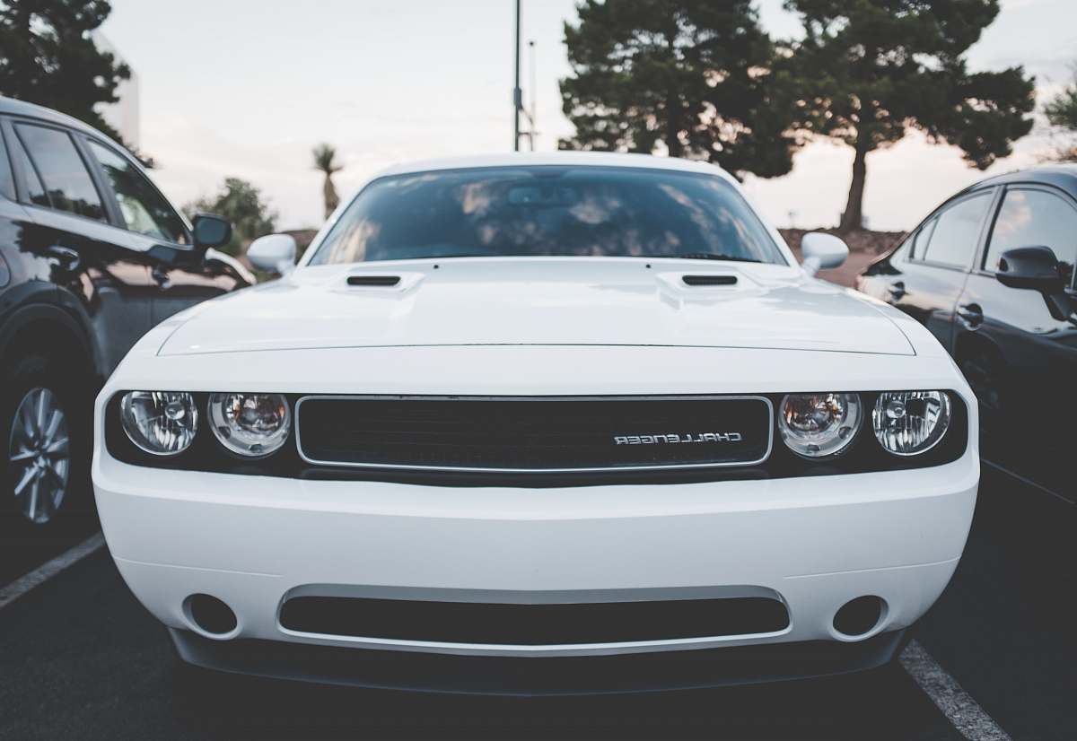 automobile shallow focus photo of white car vehicle