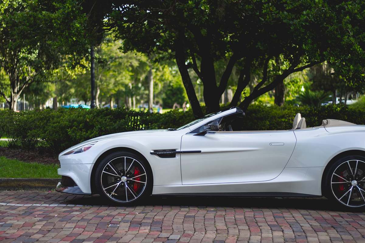 convertible white Aston Martin convertible parked near trees automobile
