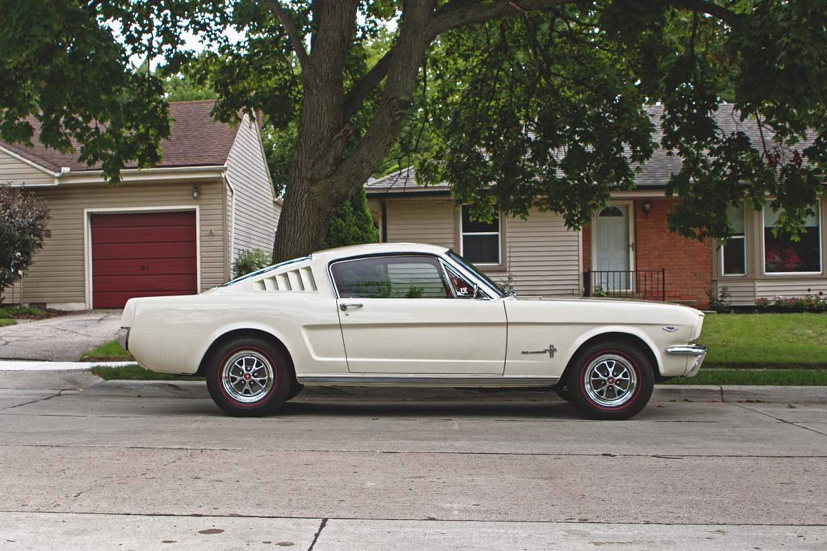 automobile white coupe in front of tree during daytime transportation