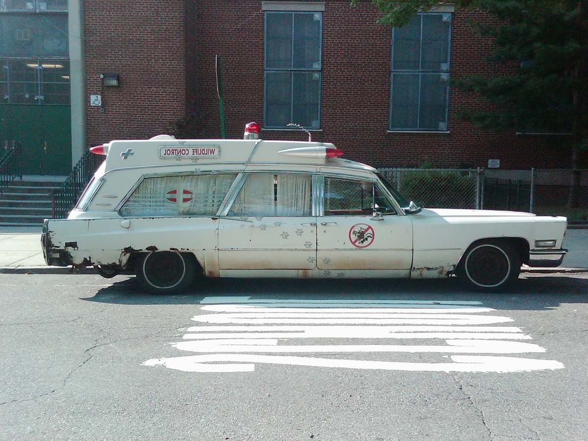 vehicle white station wagon automobile