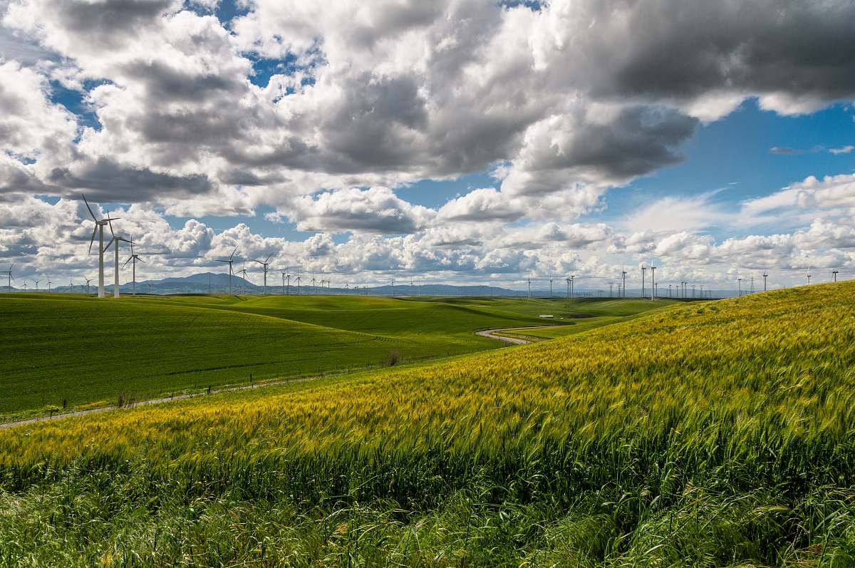 green grass plain under blue sky field