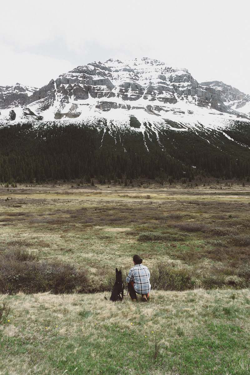 dog person sitting besides black dog while looking on black white and black mountain during daytime tree