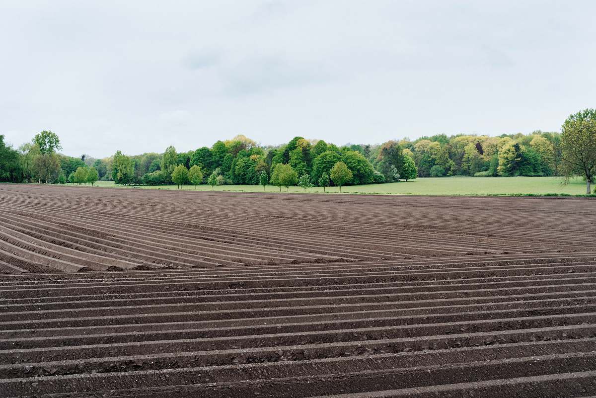 trees soil and valley farm