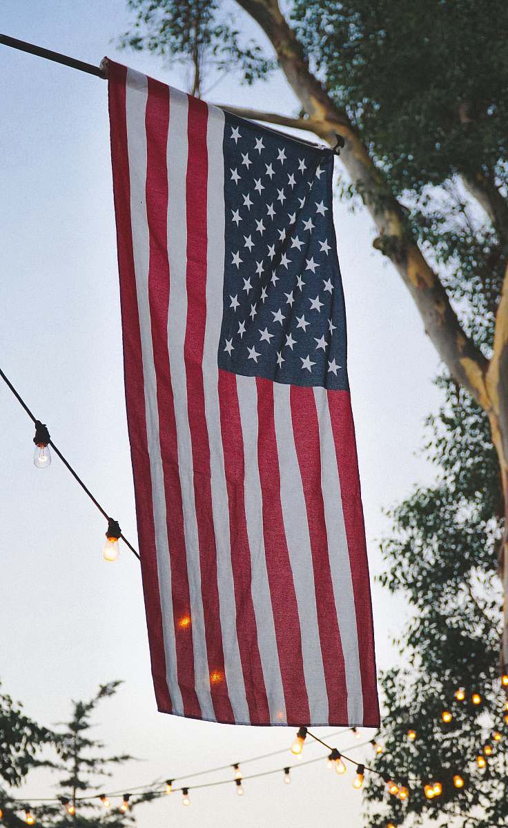 flora USA flag on black rod ivy