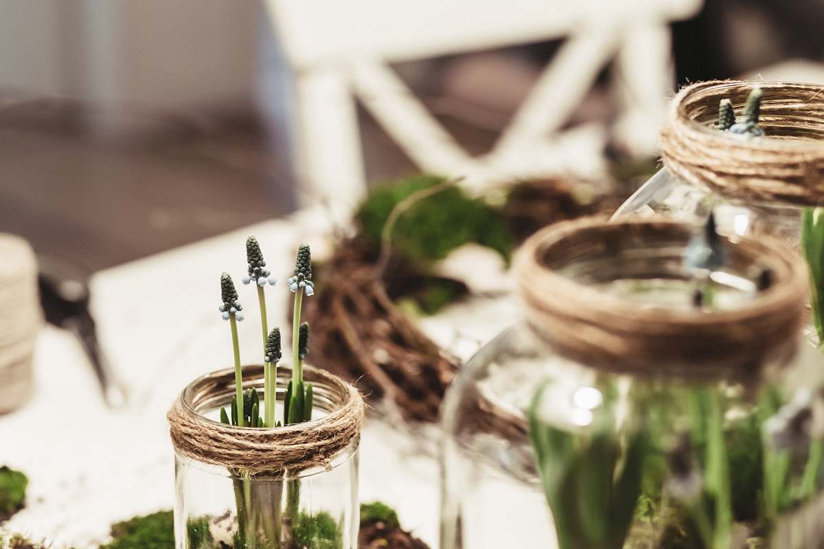 jar close-up photography of green plant on clear glass pot glass