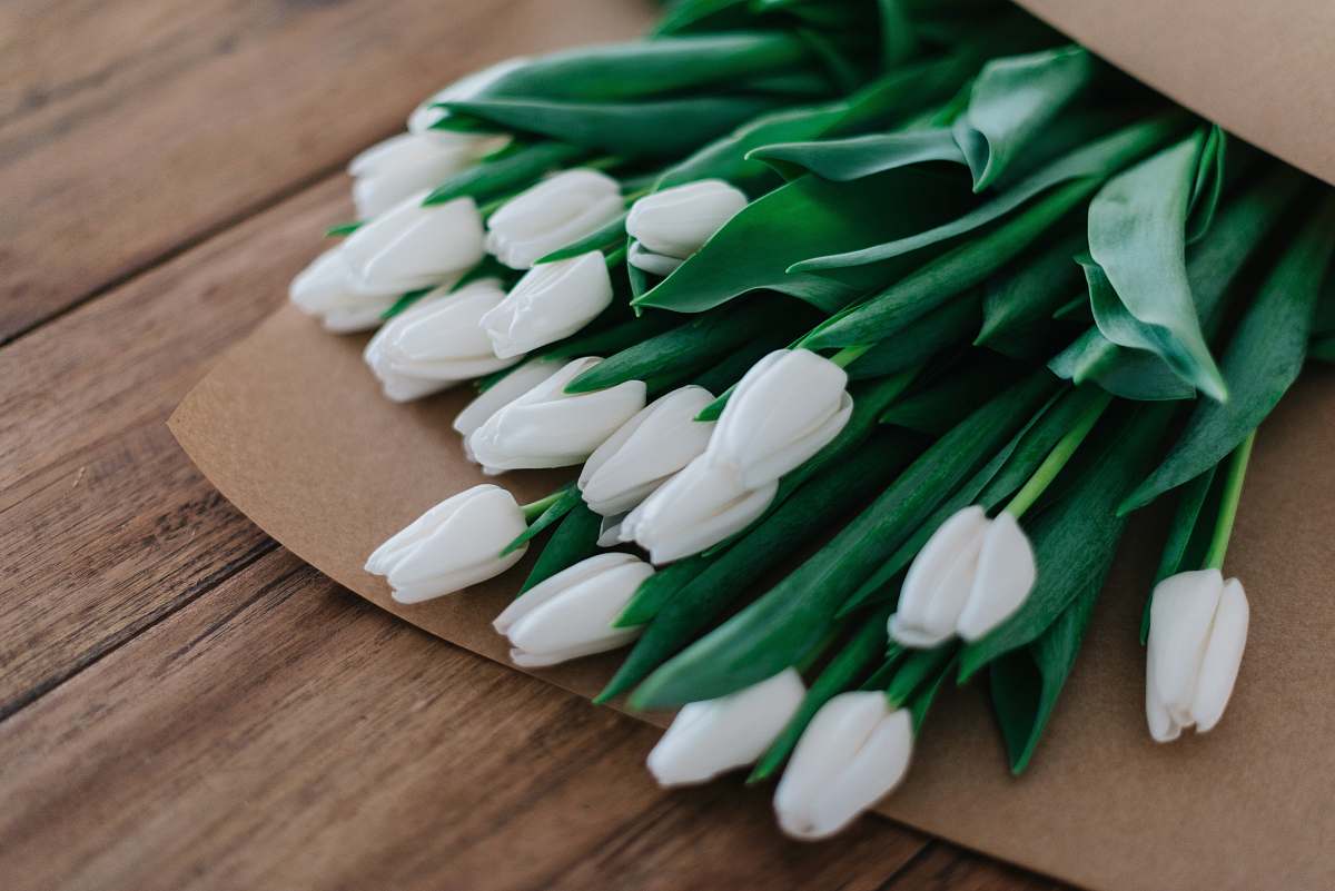 tulips close-up photography of white petaled flower bouquet on brown wooden table green