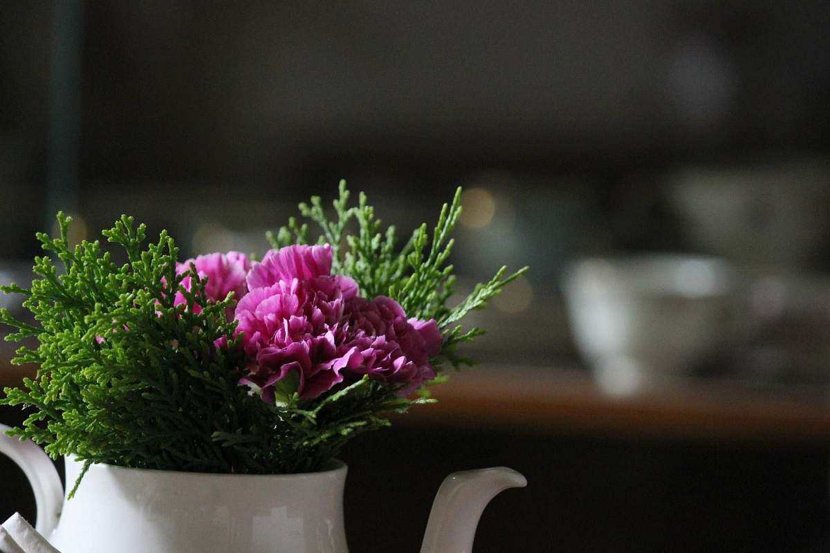 plant focus photo of purple petaled flowers vase