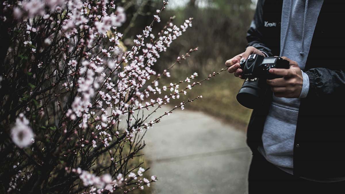 person person holding black camera beside white flowers photographer