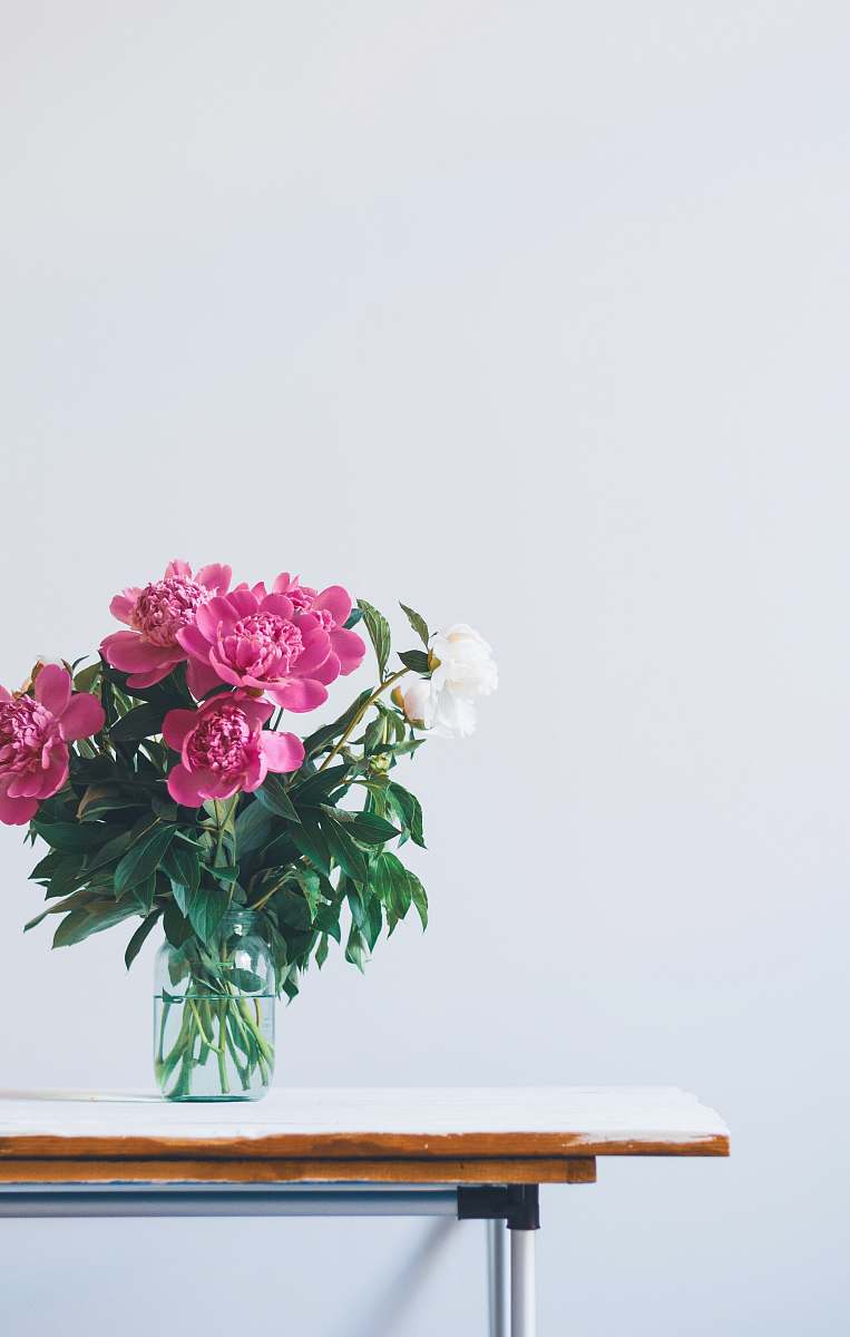 vase pink flowers in glass vase plant