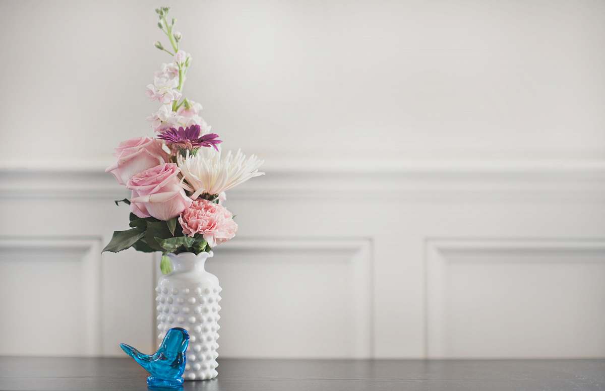 plant pink rose flower in vase vase