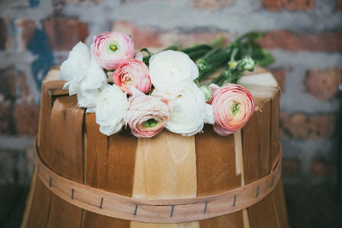 flowers white and pink roses on brown wooden bucket flora