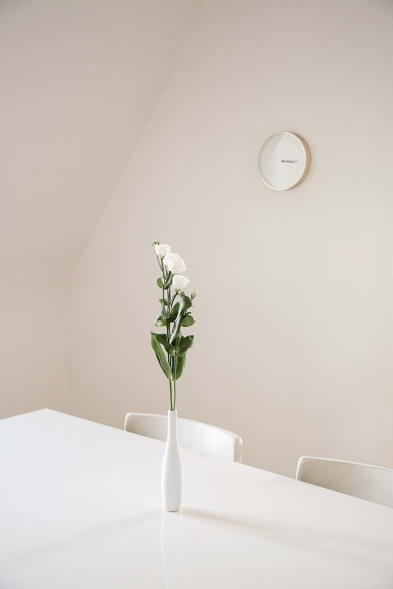 table white flowers in white ceramic vase on top of white table interior